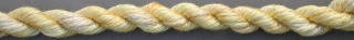 129_Baby_Corn.jpg - 18147 Bytes